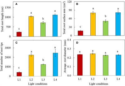 Productivity, photosynthetic light-use efficiency, nitrogen metabolism and nutritional quality of C4 halophyte Portulaca oleracea L. grown indoors under different light intensities and durations